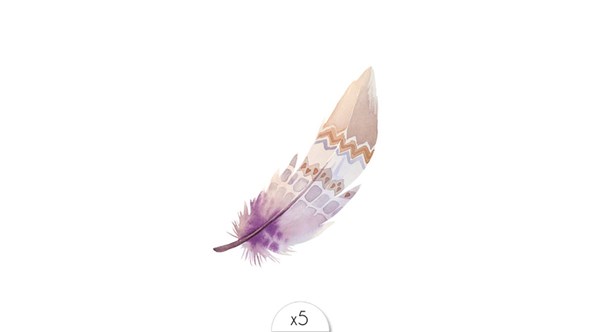 plume-indienne-beige