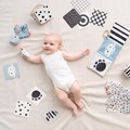 Pack de 10 cartes cartonnées aux motifs contrastés6