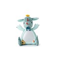 coucou-miroir-joe-le-dragon (2)