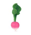 ramona-the-radish (3)