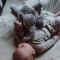 peluche-bruit-blanc-rechargeable--george-elephant-gris-flow-amsterdam-420419_OF