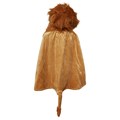 cape-lion-2