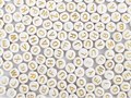 pot-perles-lettres-blanches (1)