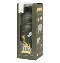 Gourde en inox Savane 2