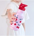 DBSSCH88-LR-5-Stainless-steel-drink-bottle-Cherries