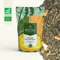 the-vert-bio-mangue-des-tropiques-1-1