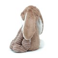 lapin brun 1