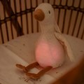 0029796_knuffelgans-licht-geluid